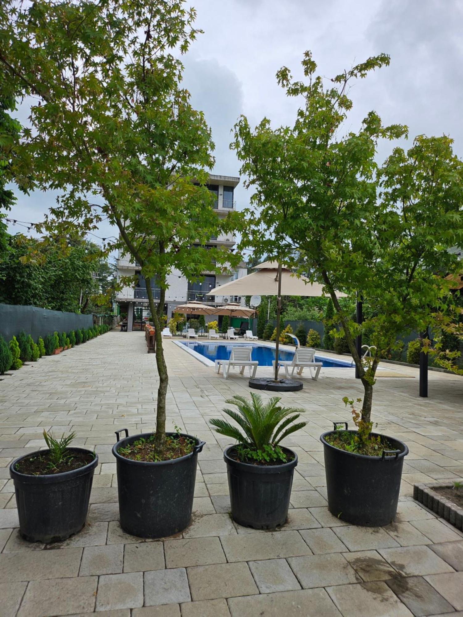 Green Terrace Кобулети Экстерьер фото